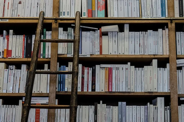 Contributi per il diritto allo studio a.s. 2024/2025